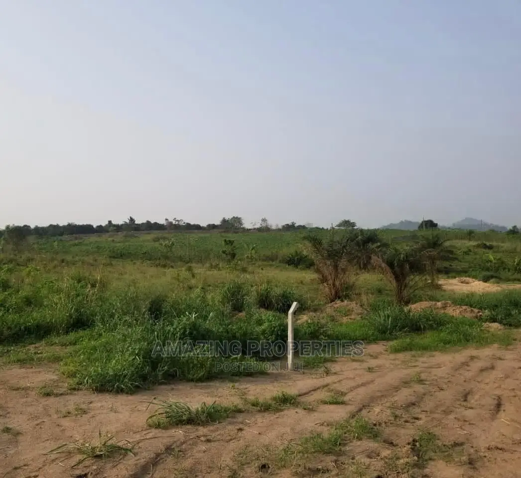 4 Plots of Land at Spintex Basket in Spintex