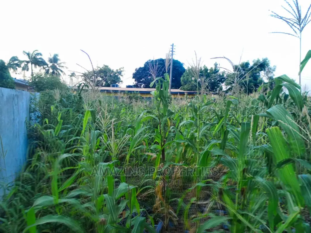 3 Plots of Land at Spintex Regimanuel in Regimanuel Gray Estates