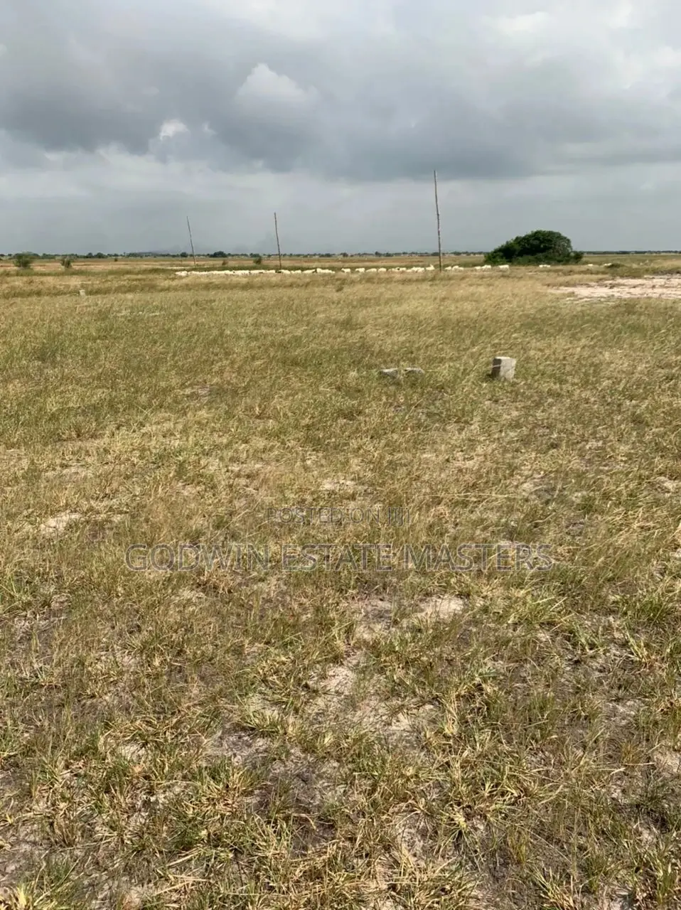 Look Here for Your Affordable Serviced Plot. in Ashaiman Municipal