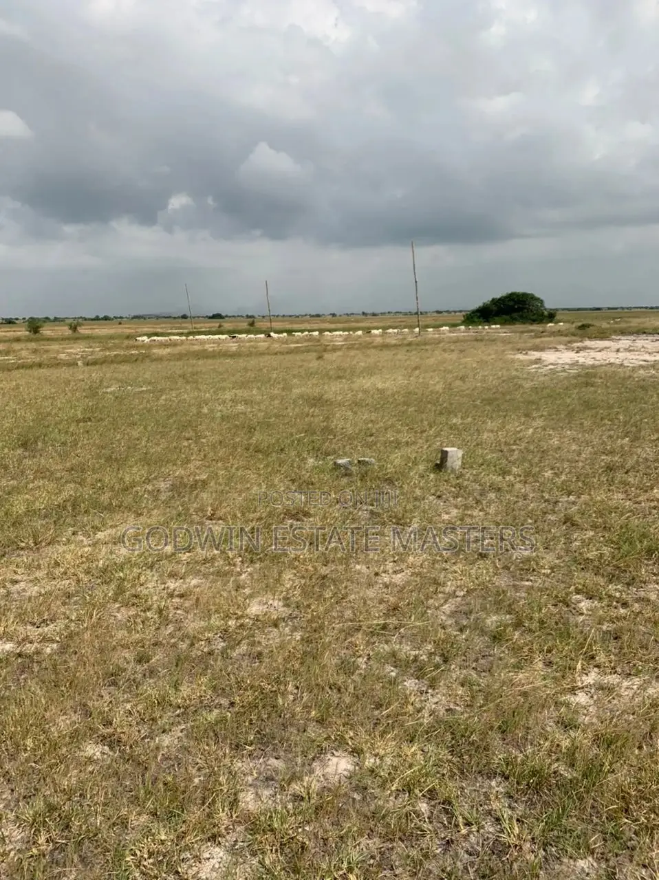Buy Genuine Land for Comfort and Peace of Mind in Ashaiman Municipal
