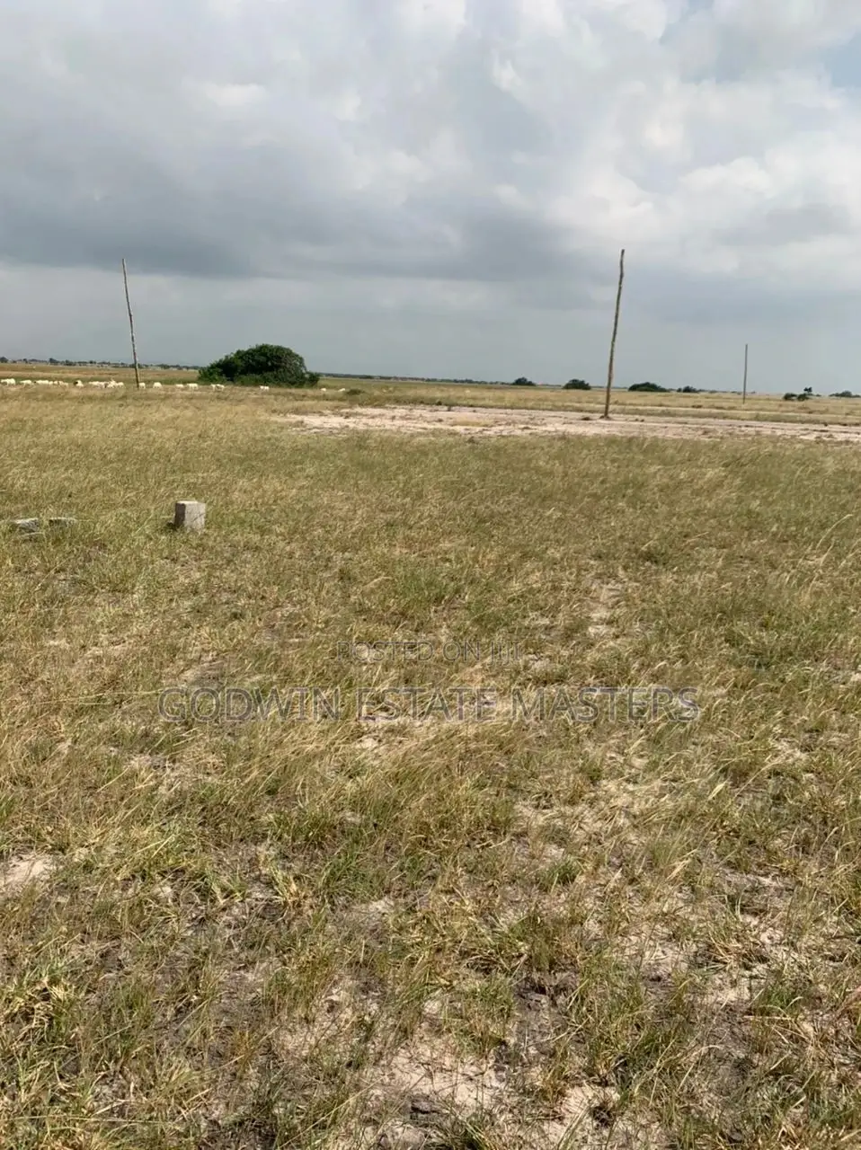 Plot at Ningo Prampram for Sale in Ashaiman Municipal