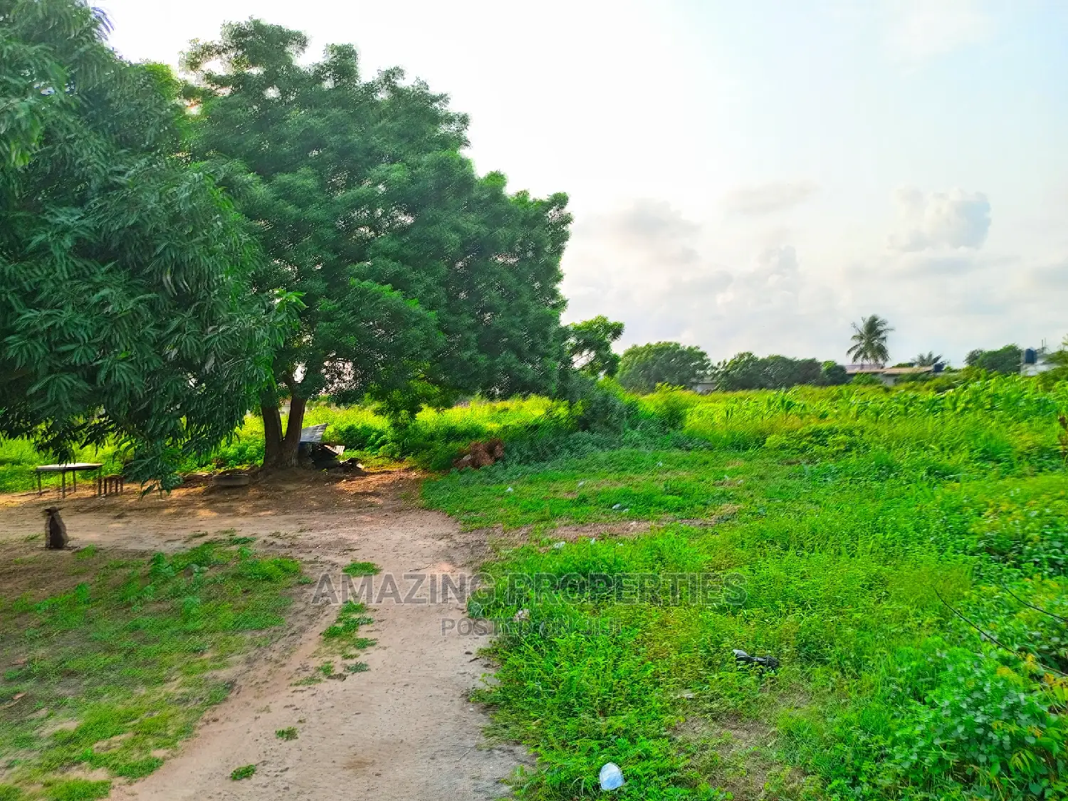 18plots of Walled Land Road for Sale Teshie Nungua Estate in Teshie-Nungua Estates
