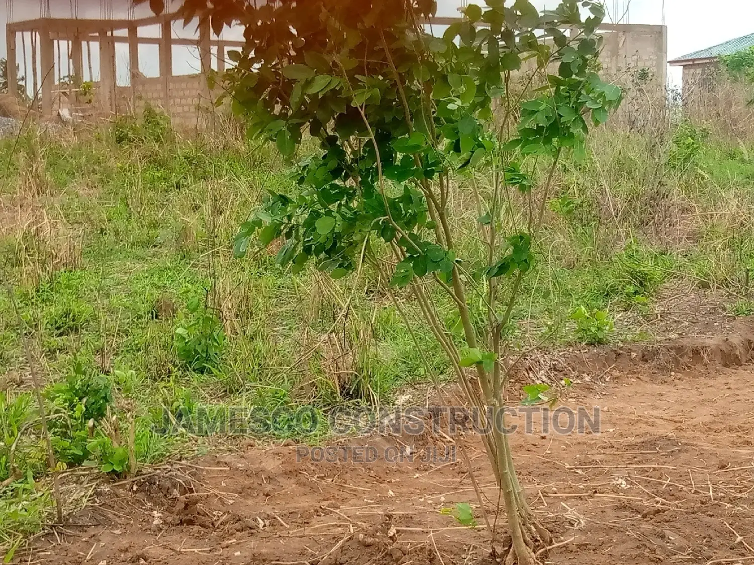 Registered in Accra Metropolitan