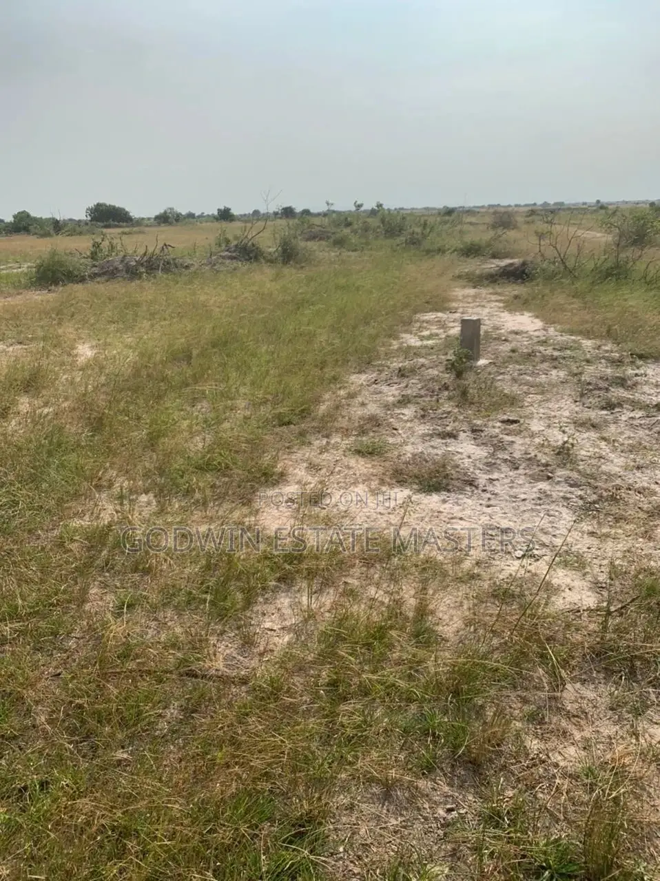 Are You Looking for Affordable Residential Land? in Tema Metropolitan