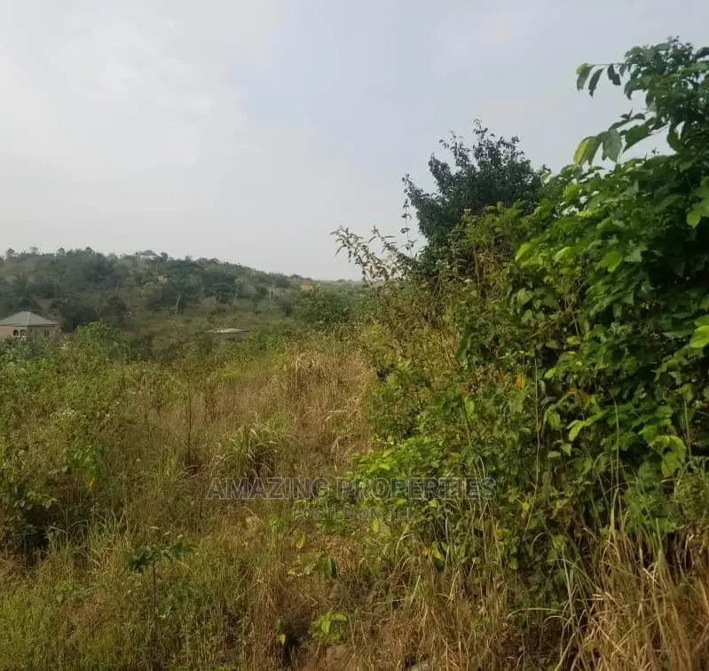 500 Acres of Land at Nsawam Pampamso in Akuapim South