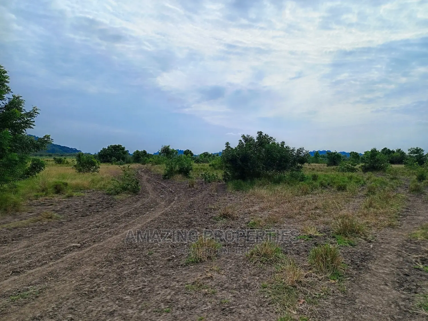 50acres of Land Available for Sale at Akuse in Akuapim North