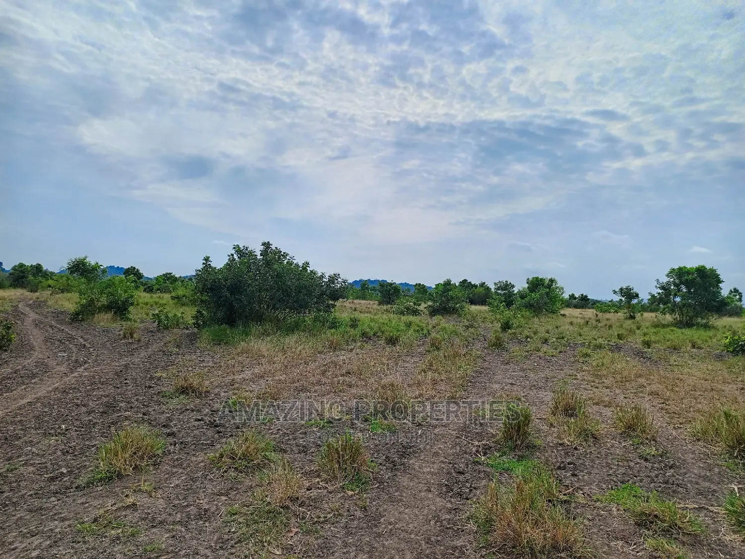 50acres of Land Available for Sale at Akuse in Akuapim North