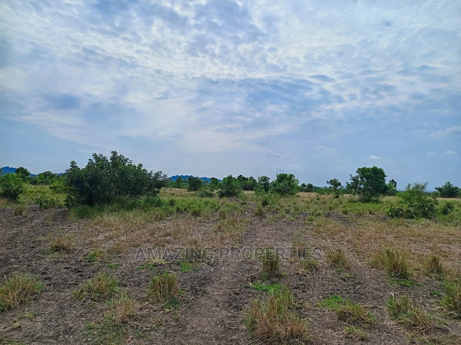 100acres of Land Available for Sale at Akuse Junction in Akuapim North