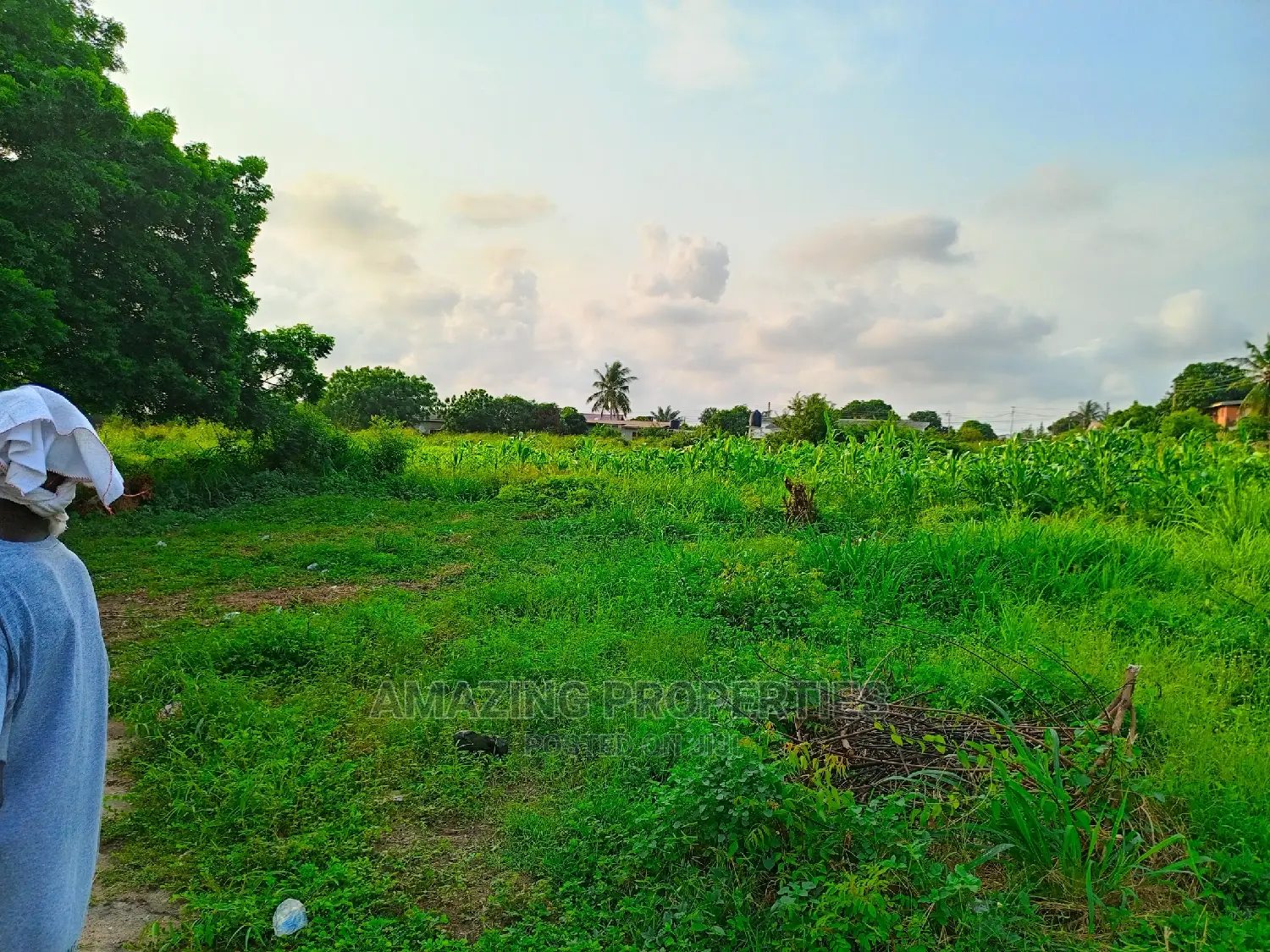 19acres of Land Buena Vista Homes Nungua> Tema Beach Road in Spintex