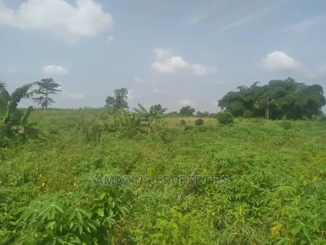 40 Acres Farm Land at Nsawam in Akuapim North