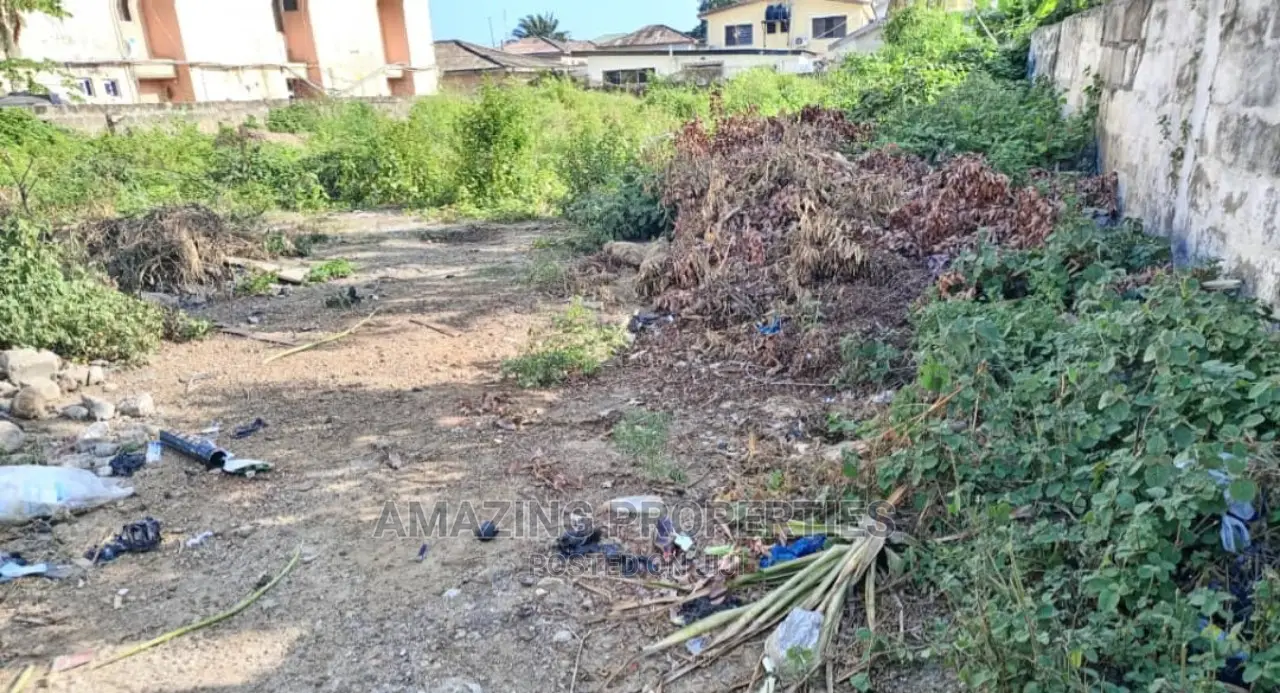 3 and Half Plot of Land at Osu Blue Gate in Osu