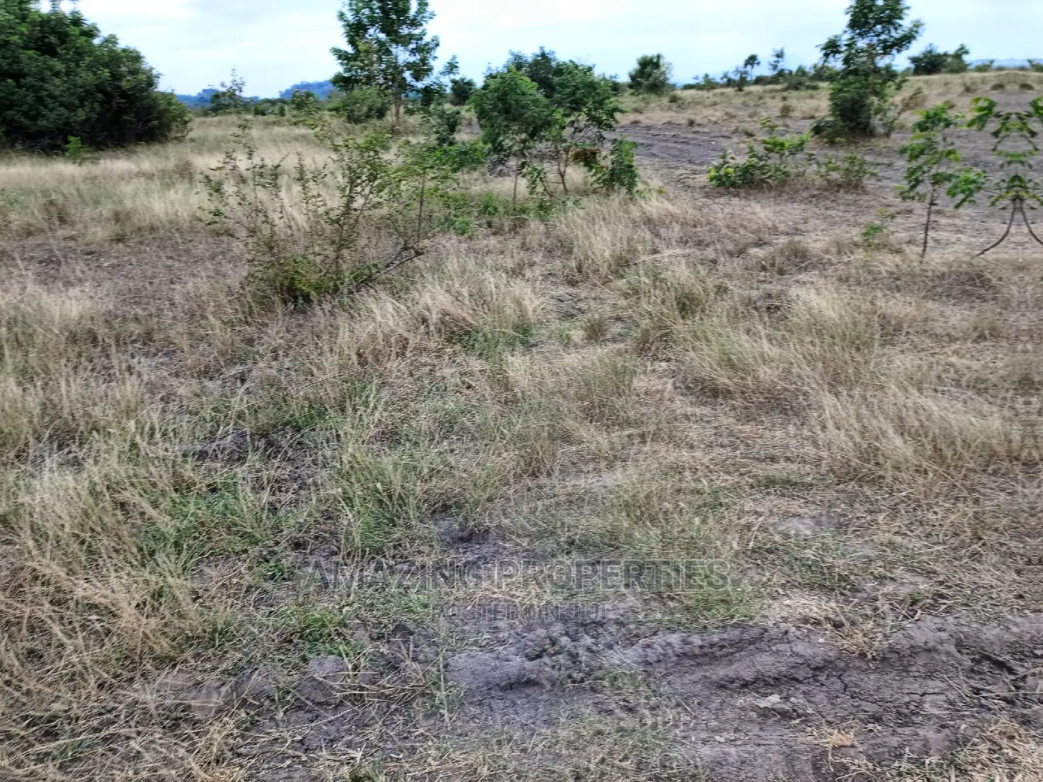 4 Plots of Land for Sale at Peduase Lodge in East Akim Municipal