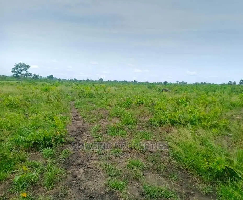 6 Plots of Land at Oyarifa in Oyarifa