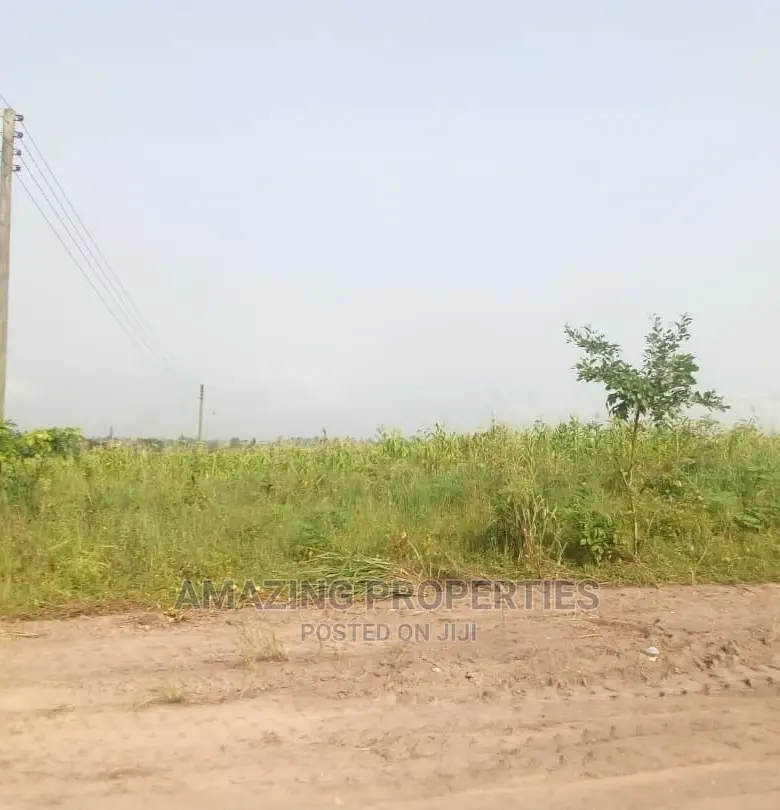 One Acre Land for Sale at Adjirigarnor(Islamic University) in Adjiriganor