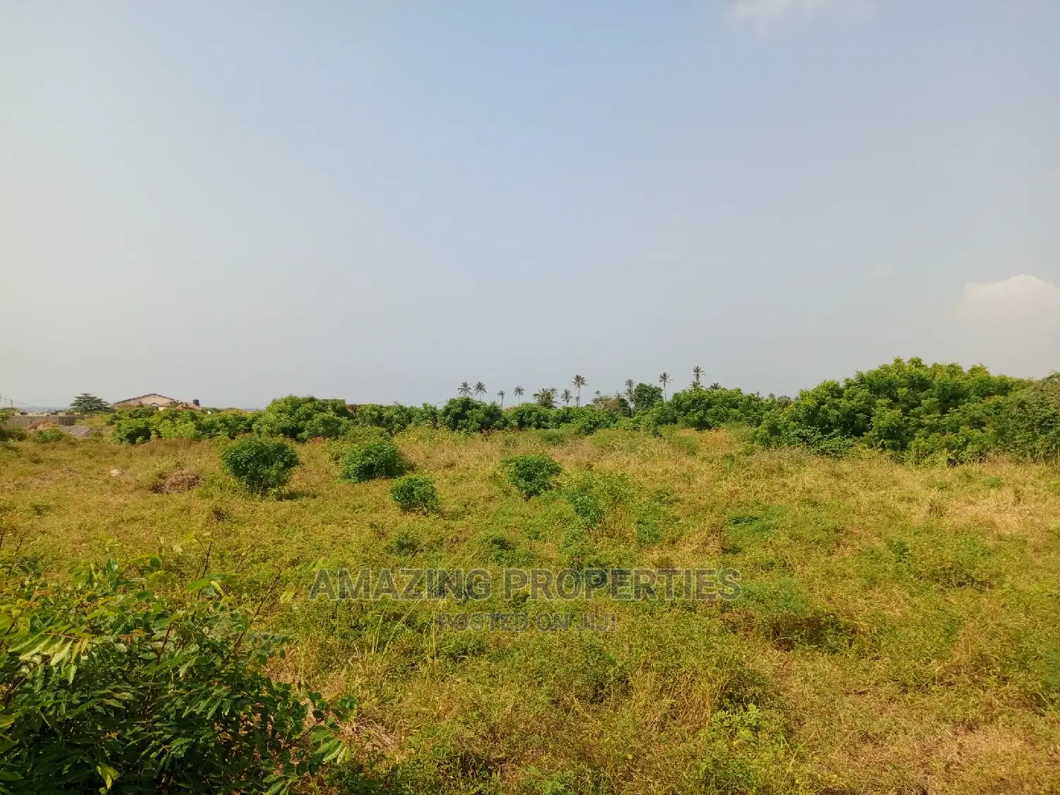 60acres of Main Roadside Land for Sale at Tsopoli Aflao in Tema Metropolitan