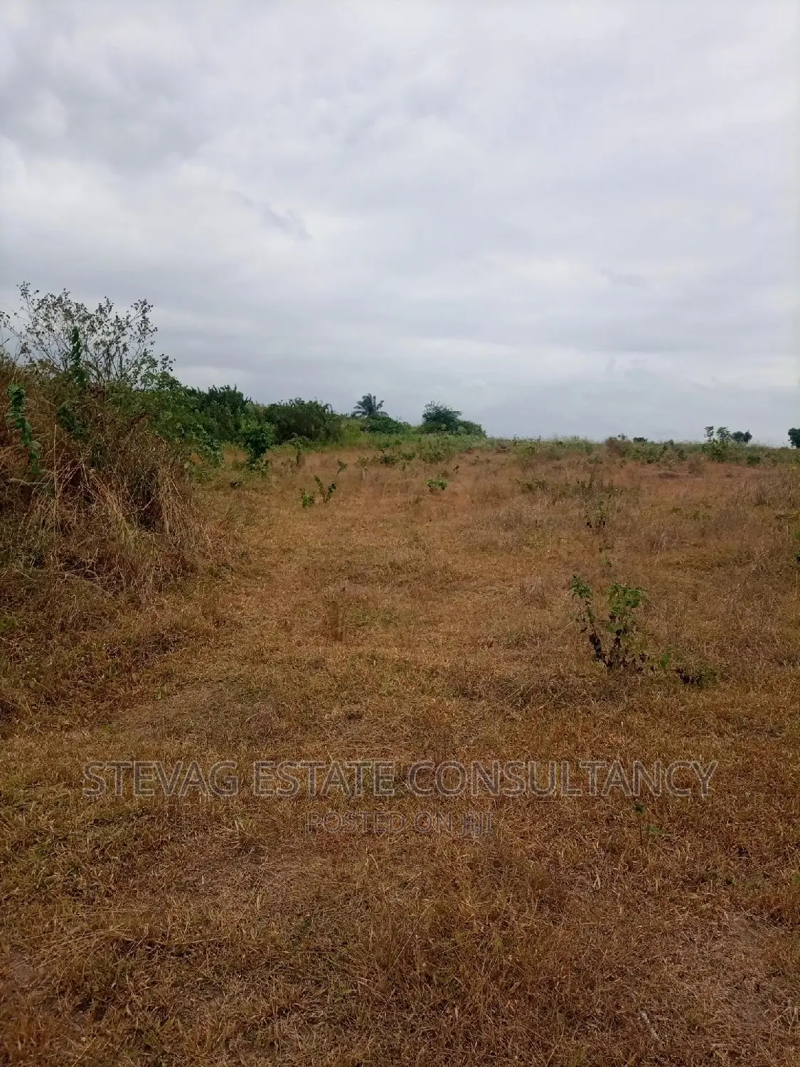 Alpha Properties Land for Sale at Kasoa Adawukwa Town in Awutu Senya West