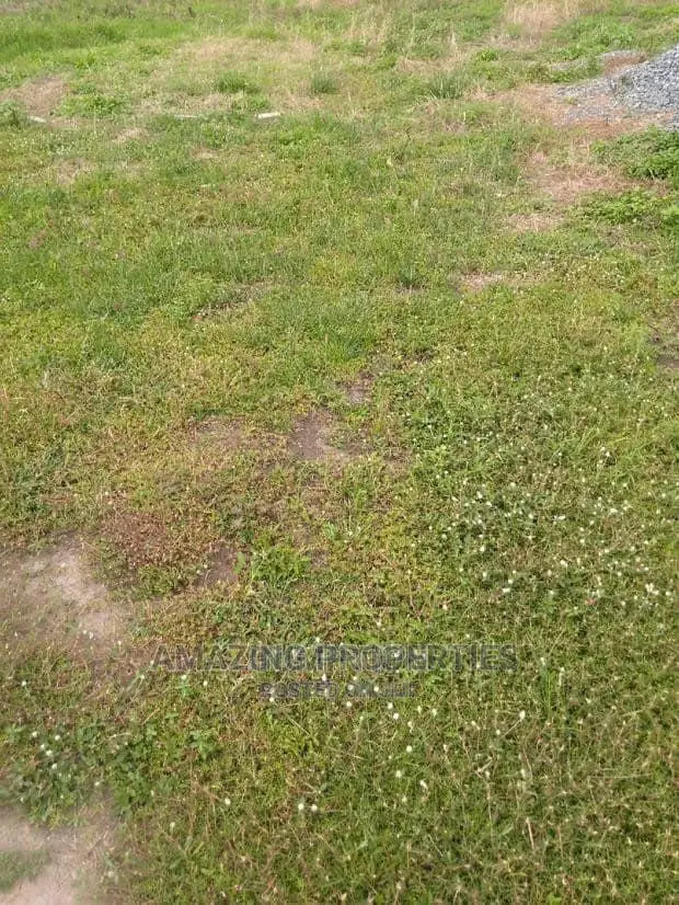 Acres of Land at Tsopoli in Spintex