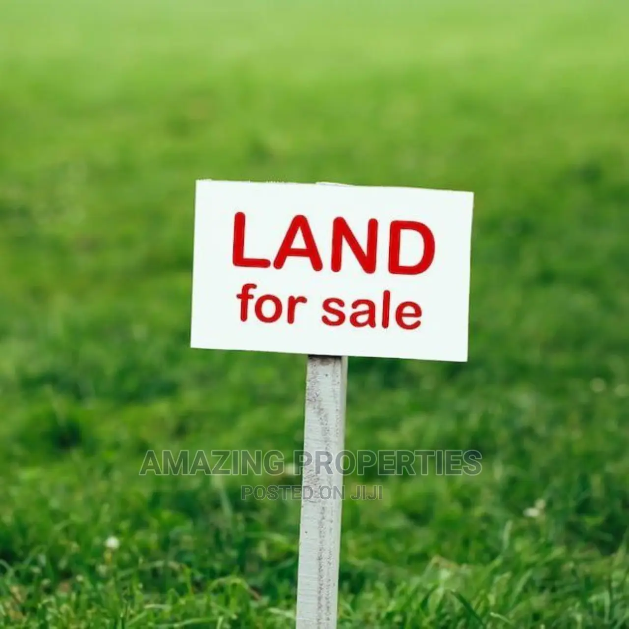 133 Acres for Auction at Dawa in Tema Metropolitan