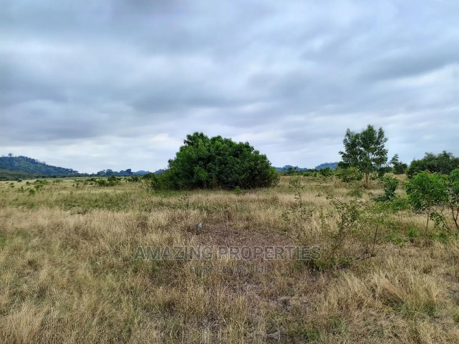 For Sale
10 Plots of Land Forsale at Tseaddo. in Accra Metropolitan