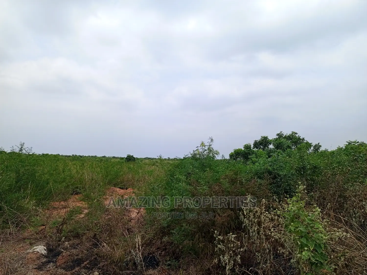 Spintex Behind Regimanuel (Bounded With Regimanuel) 50 Acres in Spintex