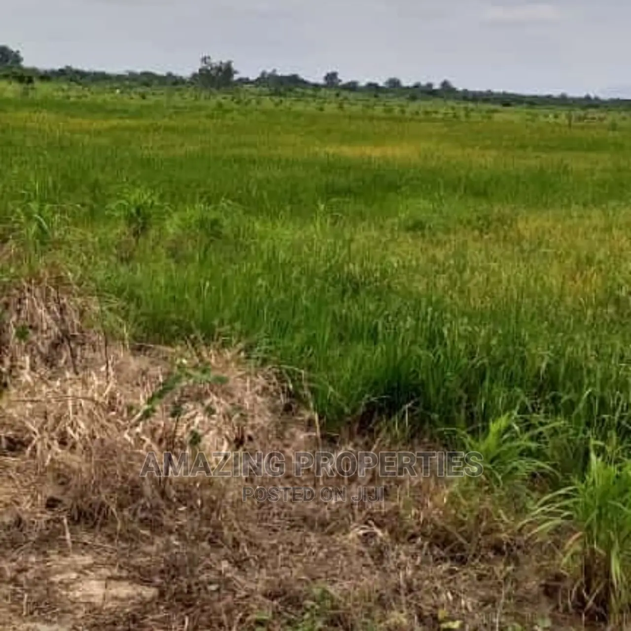 6 Plots of Land at Oyibi in Oyibi