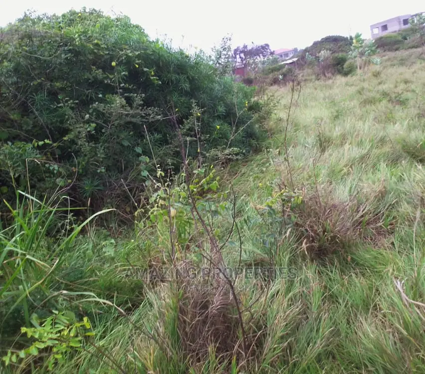 4 Plots of Land at Community 25(Casidle Estate) in Tema Metropolitan