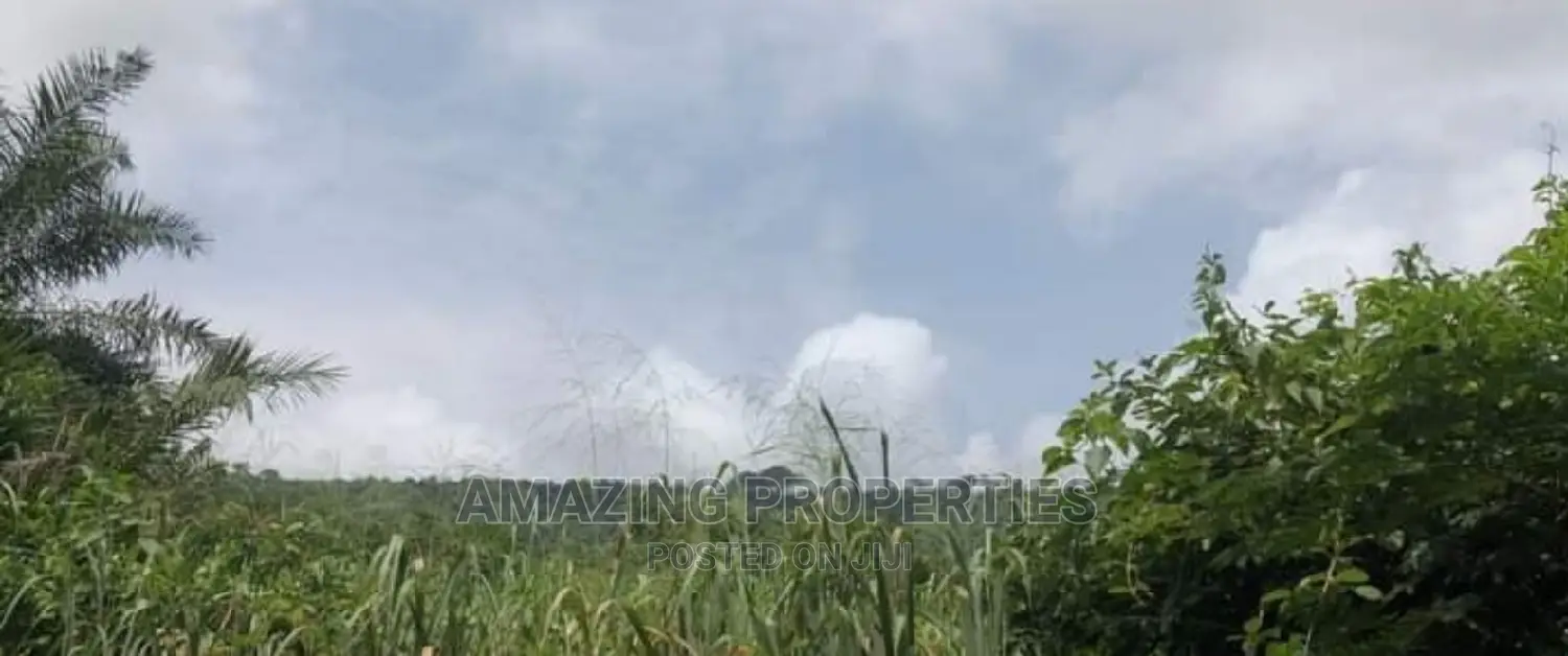 5 Plots of Land at Tema Community 1 in Tema Metropolitan
