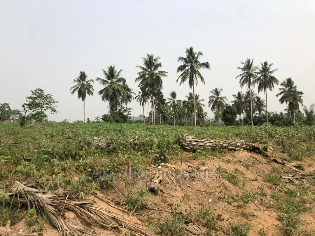 50 Acres Prampram Main Road Leading to Kpone Town in Tema Metropolitan