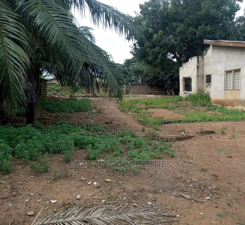 3 Plots of Land for Sale at Mallam in Mallam