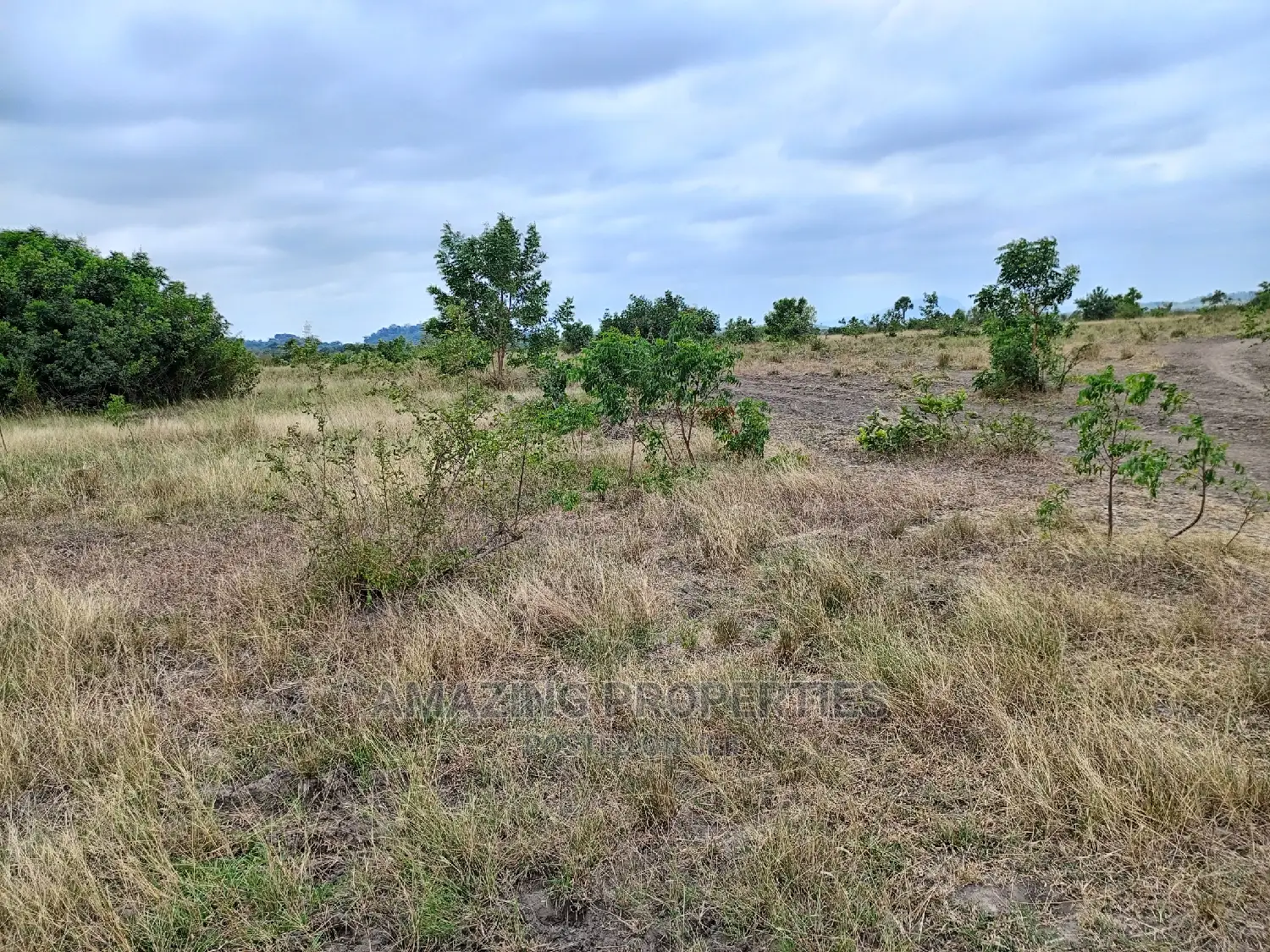 For Sale 5 Acres of Land in East Legon