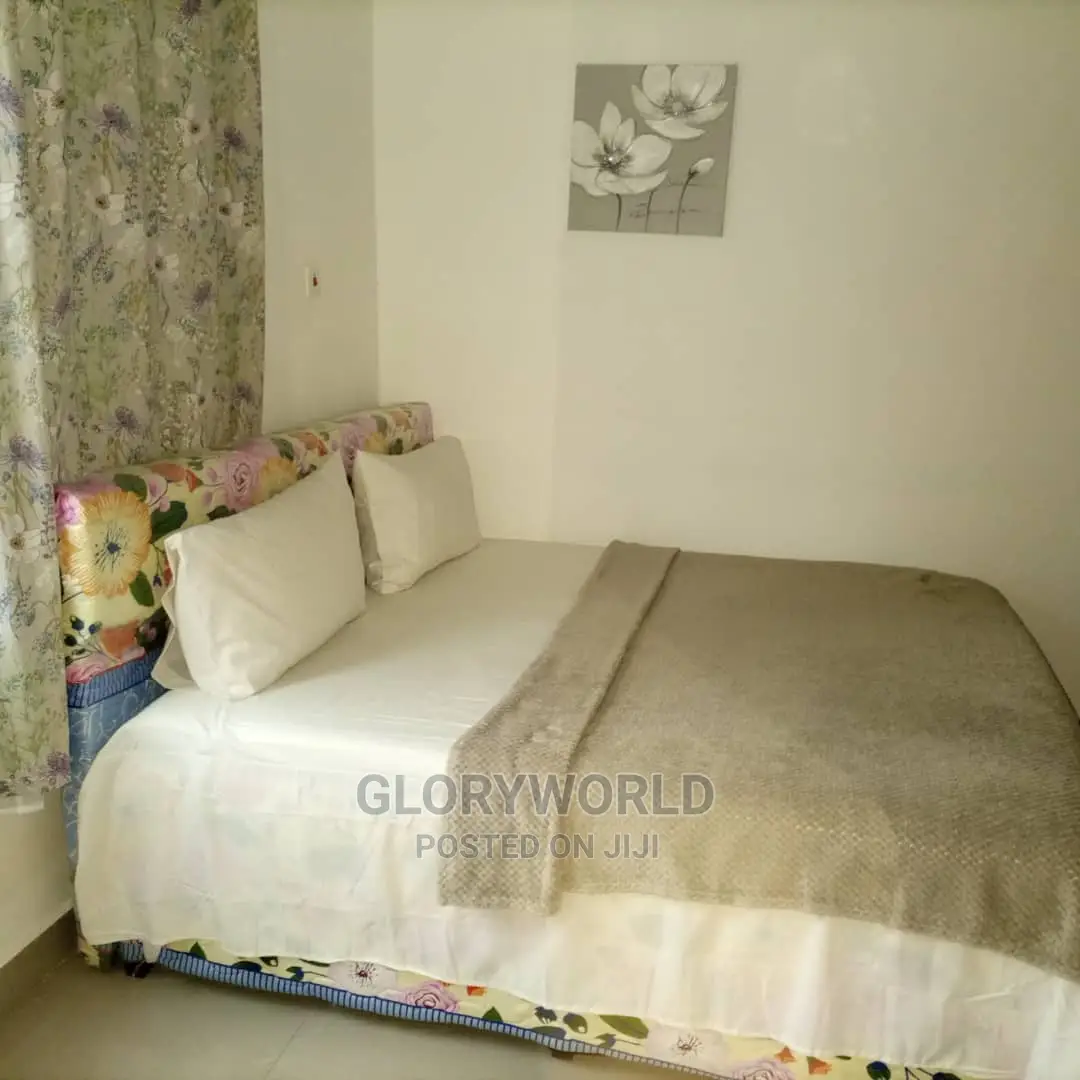 Furnished 1bdrm Apartment in Spintex for rent in Spintex
