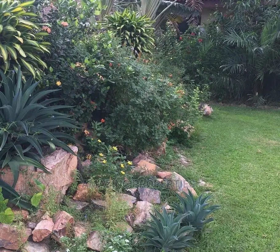 Furnished 4bdrm House in Adjiriganor for rent in Adjiriganor