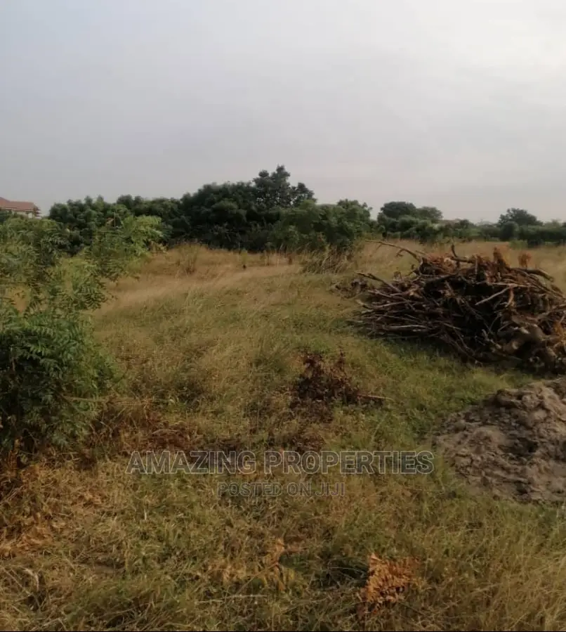 2 Acres of Roadside Land in Dodowa