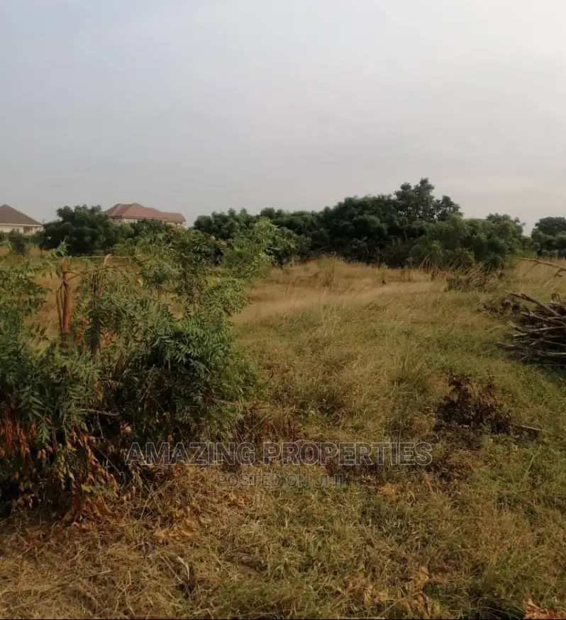 2 Acres of Roadside Land in Dodowa
