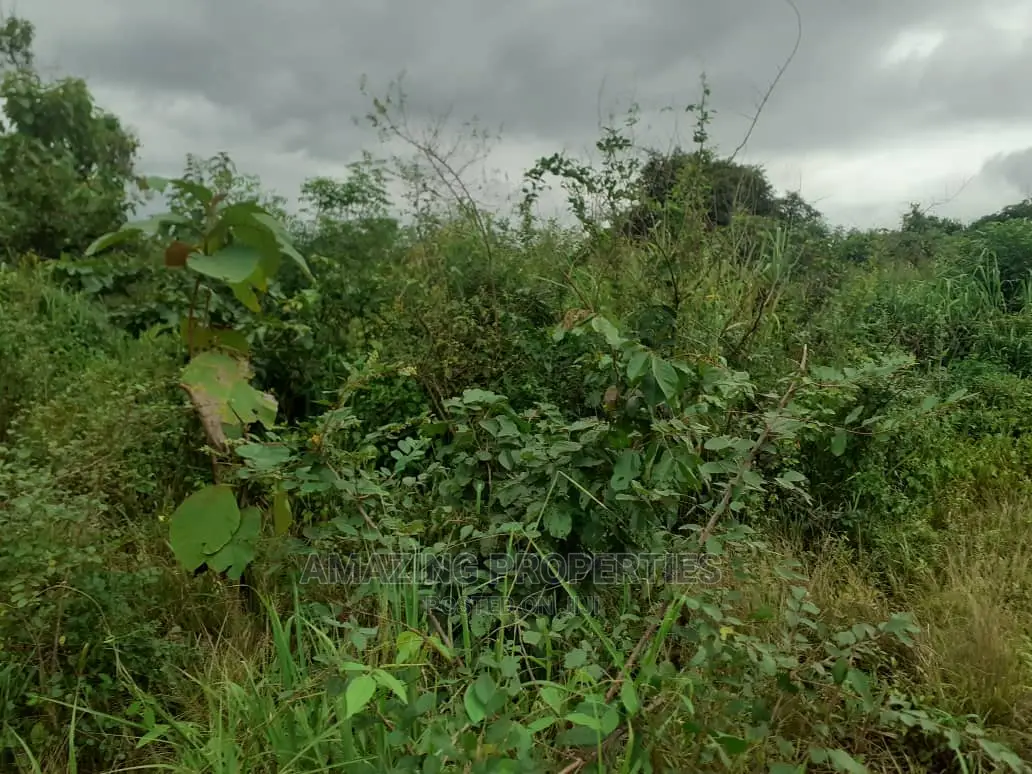 For Sale 6 Plots of Land at Spintex> Com 18 in Spintex