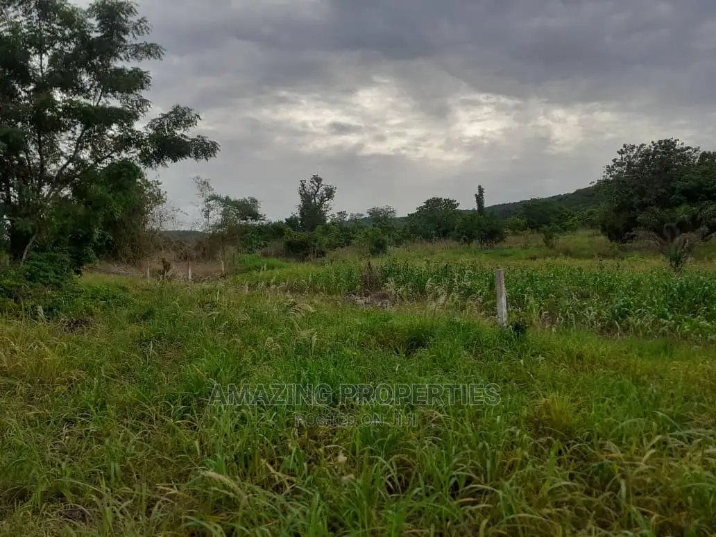Spintex Manet About 20 Acres Fenced Land (Bare Land) in Spintex