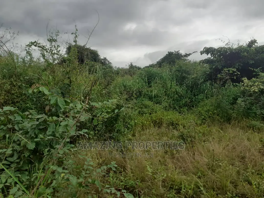 Spintex Manet About 20 Acres Fenced Land (Bare Land) in Spintex
