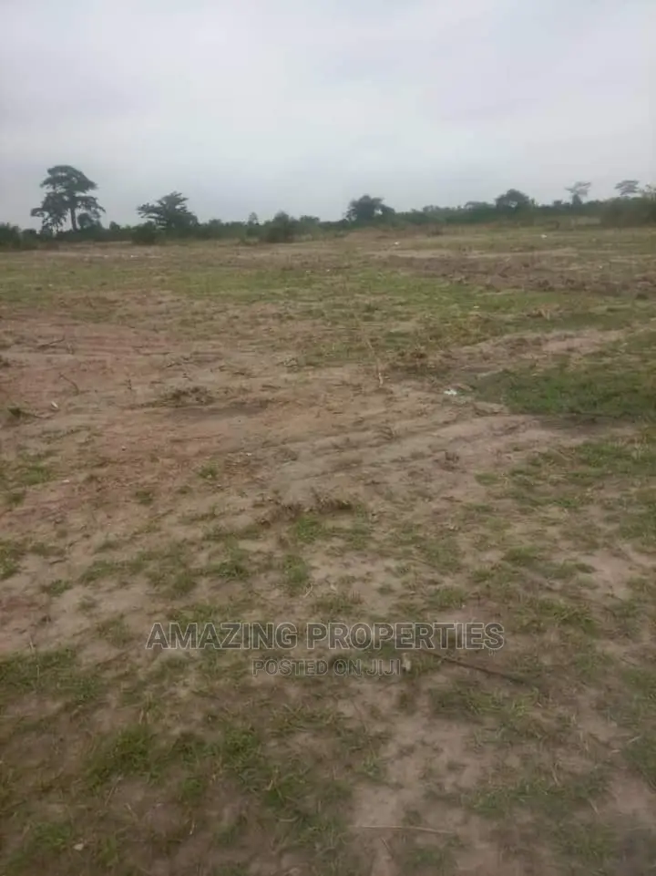 15 Acres At TEMA INDUSTRIAL AREA Going For$6million Usd in Tema Metropolitan