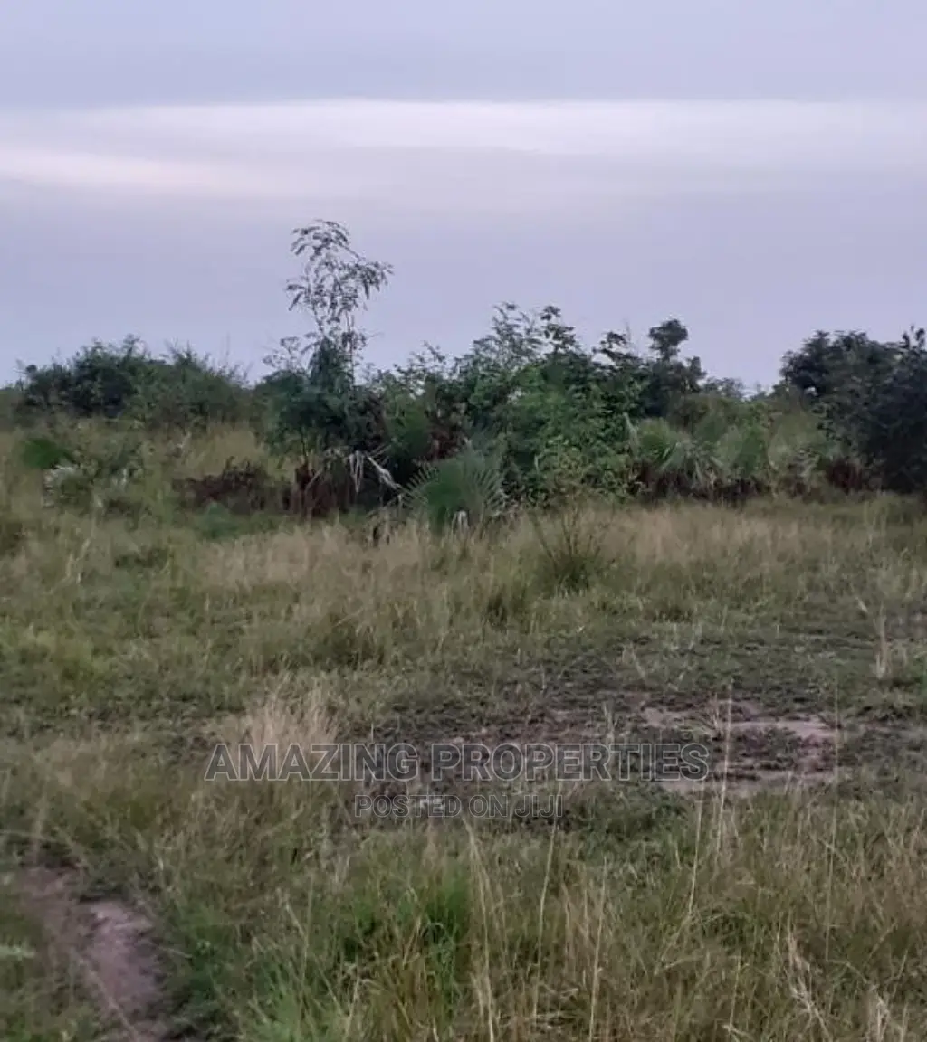 350 Acrez of Land at Sege-Ada in Tema Metropolitan