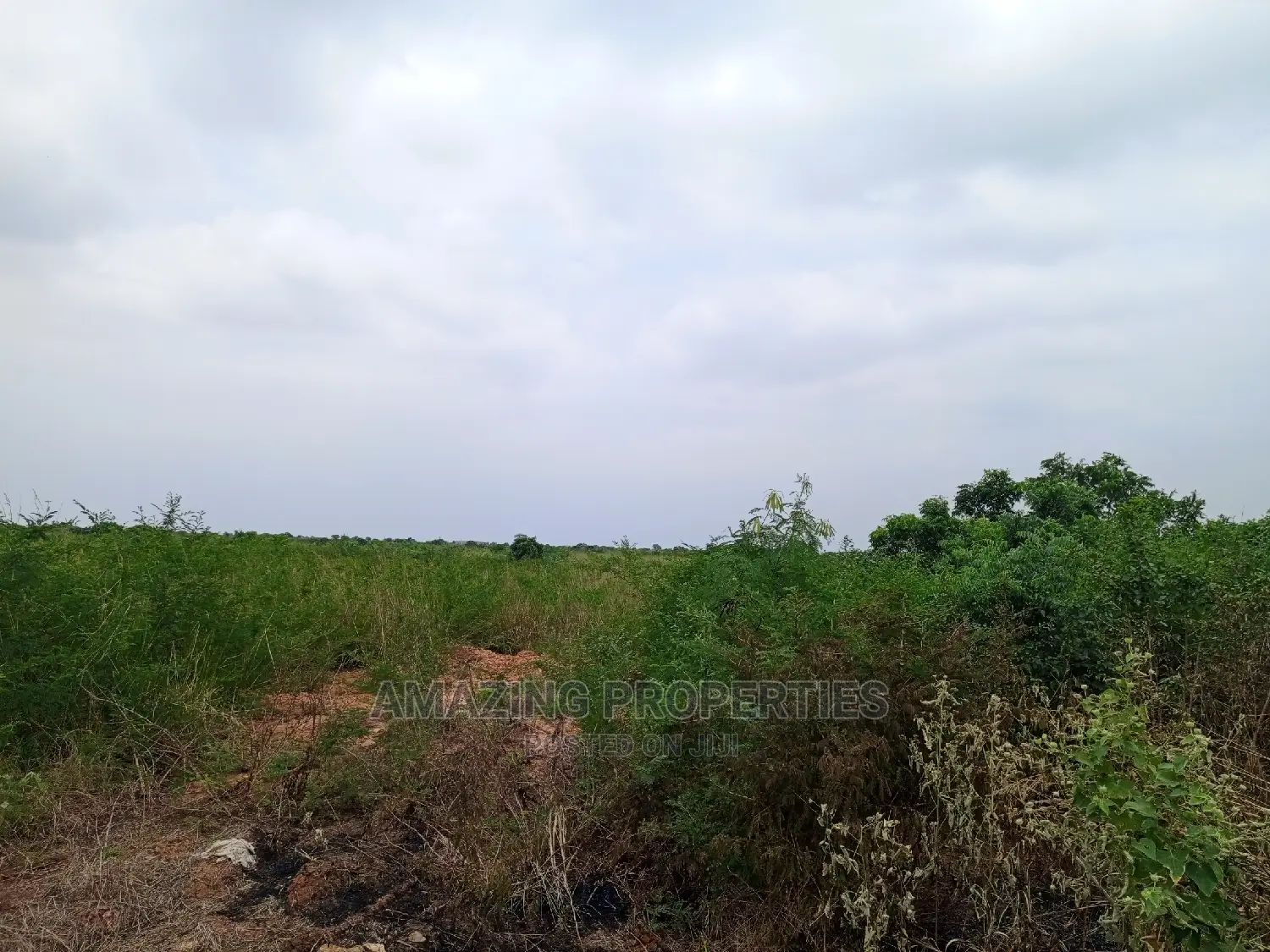 13 Acre Land for Sale in Tema Opposite TOR in Tema Metropolitan