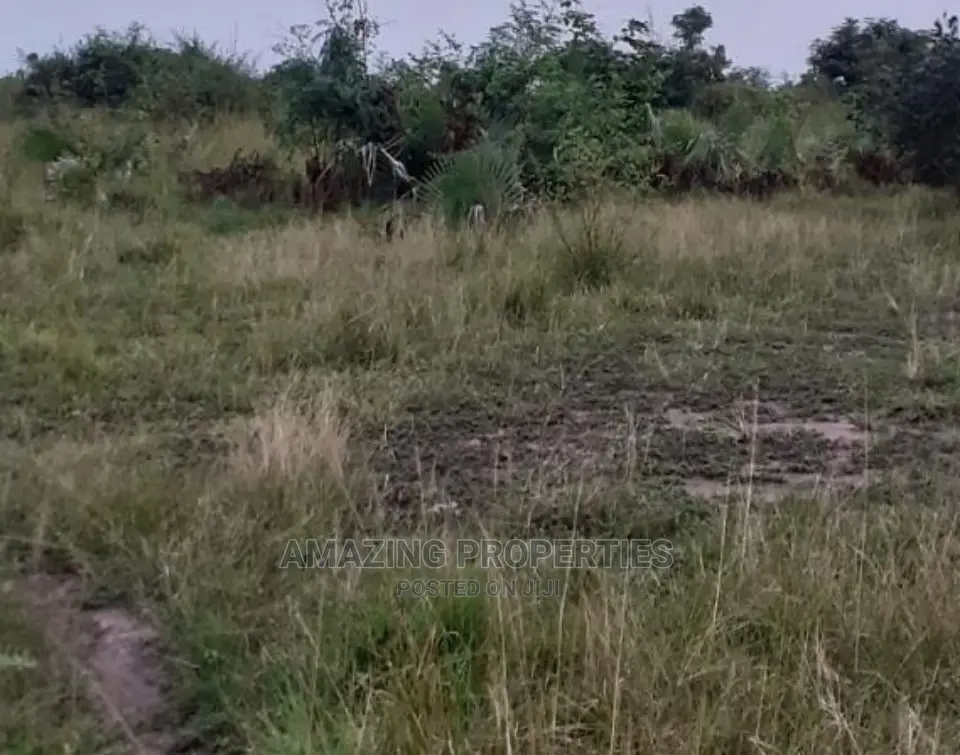70x100 Plot of Land at Lashibi in Spintex