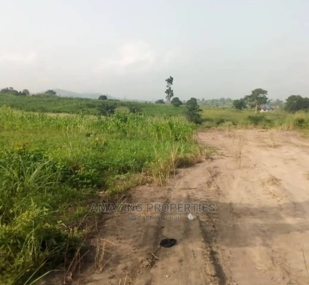 80x135 Ft Plot of Land at Community 24 in Tema Metropolitan