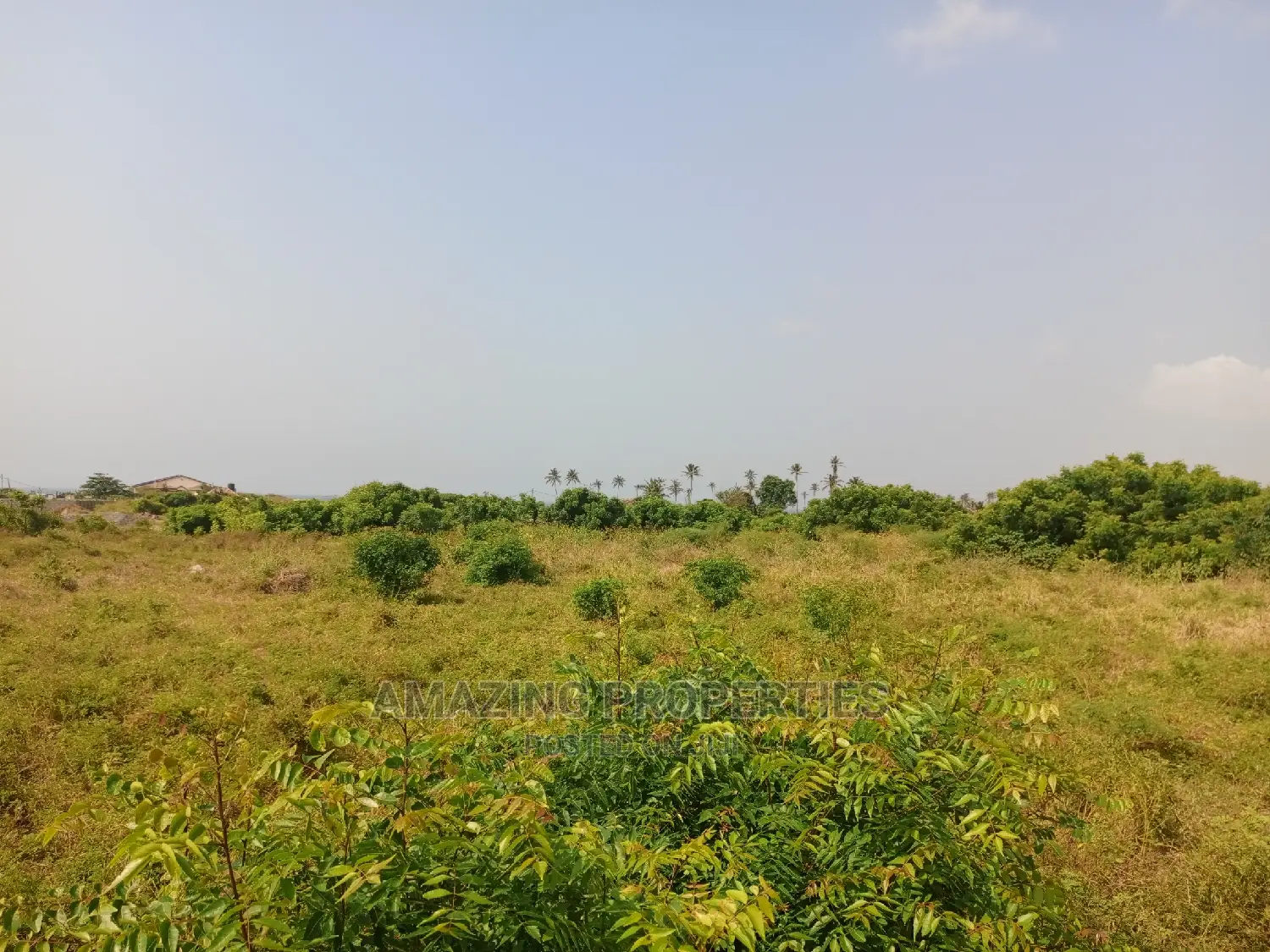 For Sale 50 Acres of Family Land at Somanya in Akuapim South