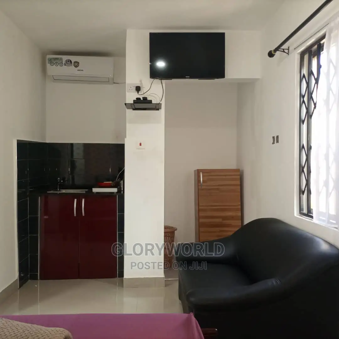 Executive Furnished Studio Apar Totment for Rent at Spintex in Spintex
