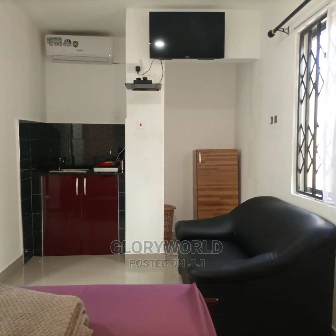 Executive Furnished Studio Apar Totment for Rent at Spintex in Spintex