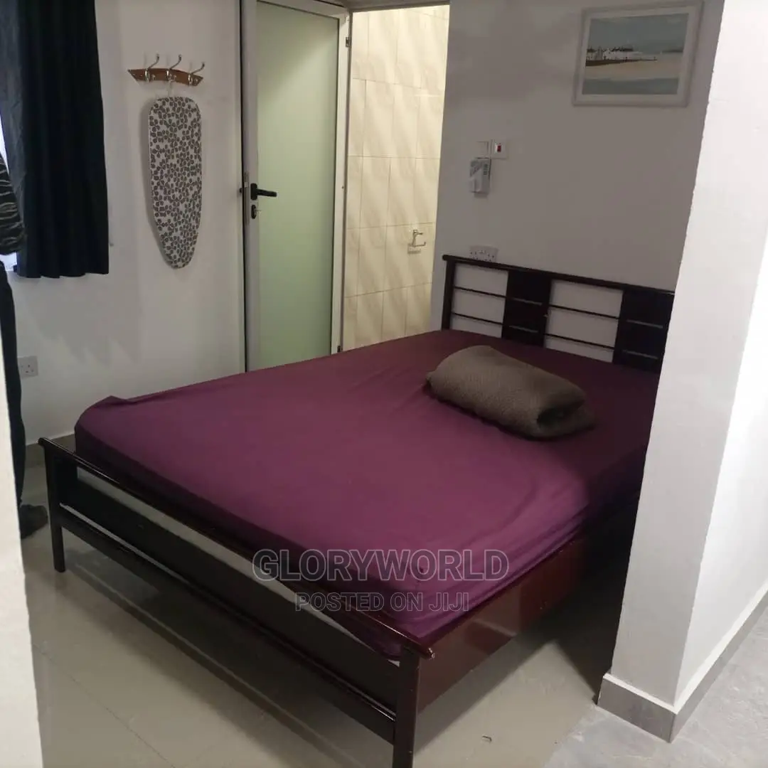 Executive Furnished Studio Apar Totment for Rent at Spintex in Spintex