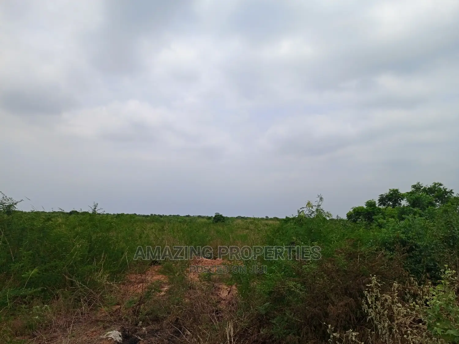 50 Acres of Land at Ada River Front Land.
$120,000 Per Acre in Adenta