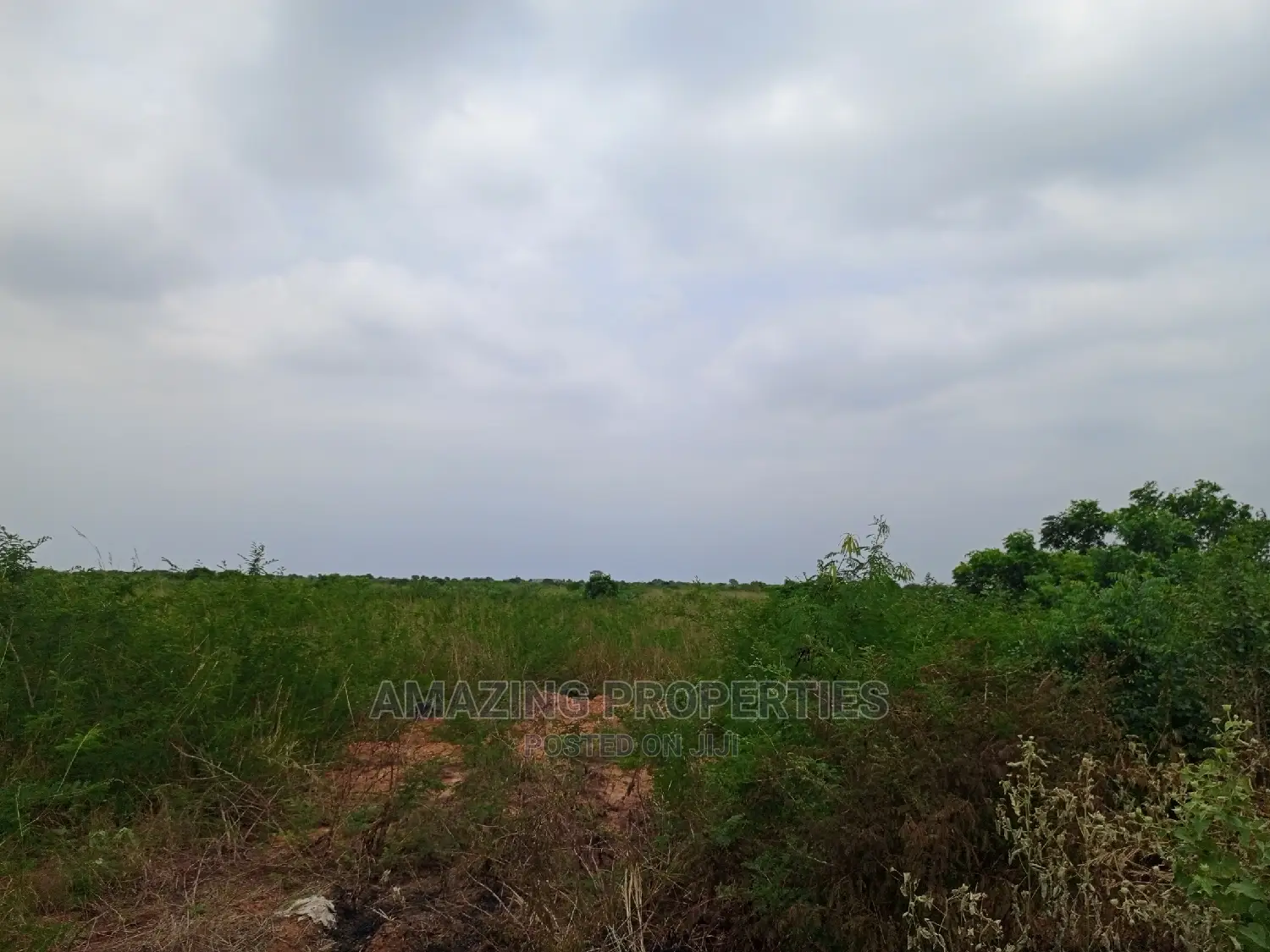 50 Acres of Land at Ada River Front Land.
$120,000 Per Acre in Adenta