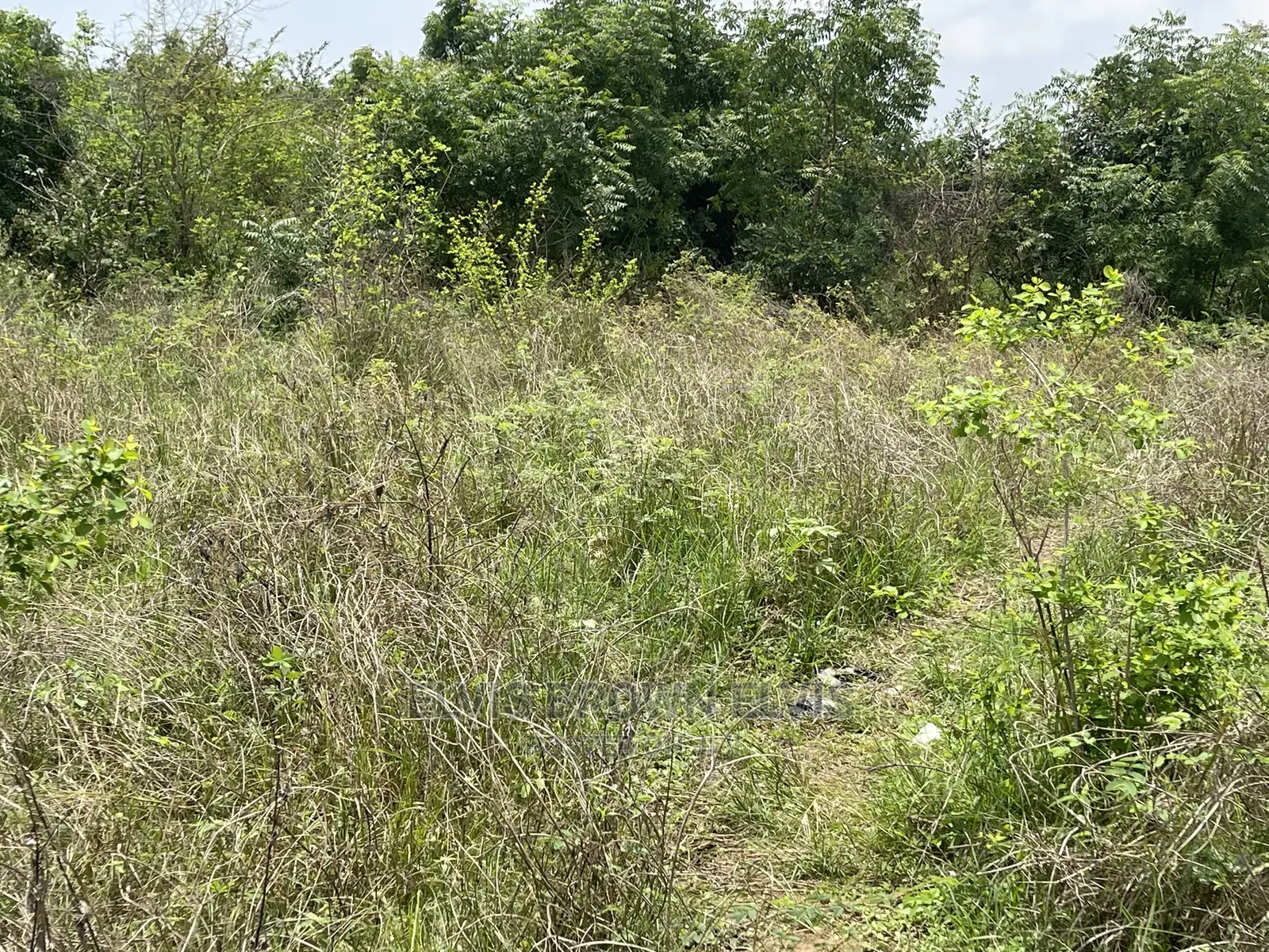 Buy Plots of Land for Sale at West Trasacco Zoomlion Area in East Legon