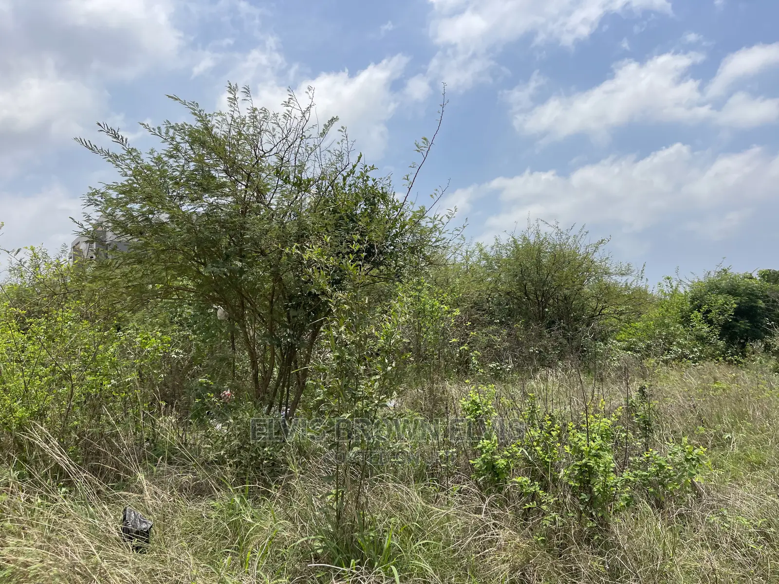 Buy Plots of Land for Sale at West Trasacco Zoomlion Area in East Legon